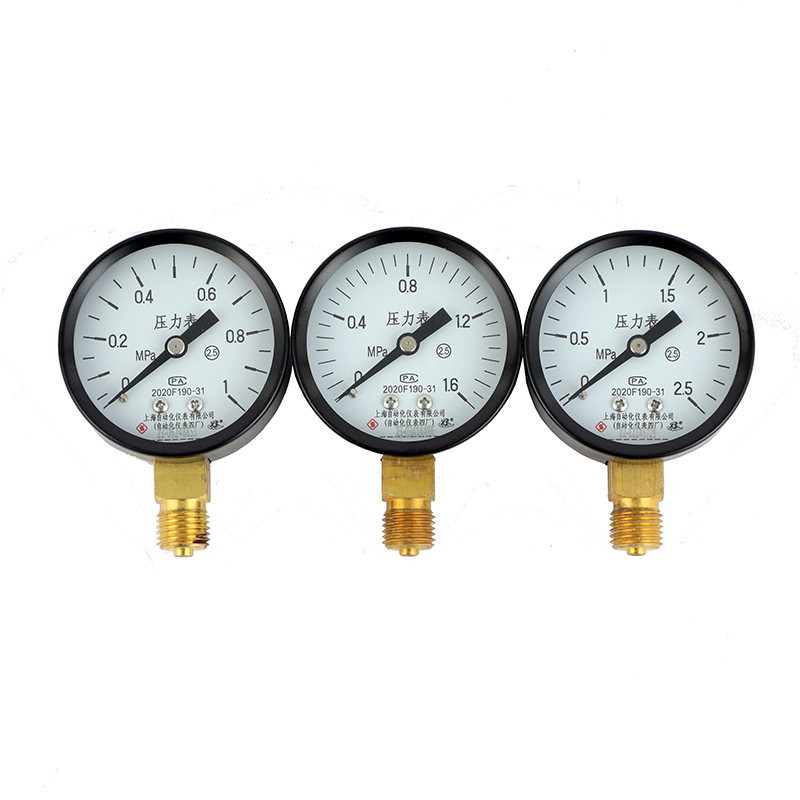 Y-100ZT普通壓力表